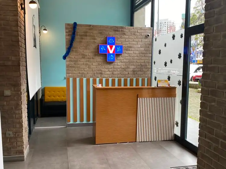 Лучший ветеринар для домашних животных в Стамбуле, Шишли