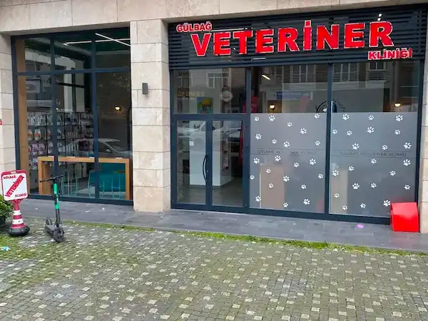 Лучший ветеринар для домашних животных в Стамбуле, Шишли